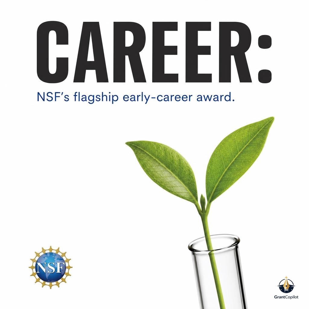 Illustration representing the NSF CAREER award